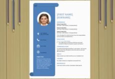Clean-Cut-Resume-CV-format-Senior-Resume-Template-ResumesTree.com