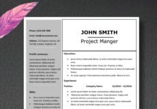 Perfect-Greysh-Resumes-CV-Template-ResumeTree.com