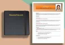 Simple-and-Plain-resume-CV-Resume-Template-format-ResumesTree.com